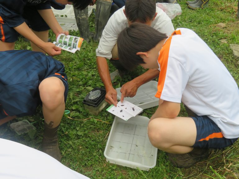 生き物調査